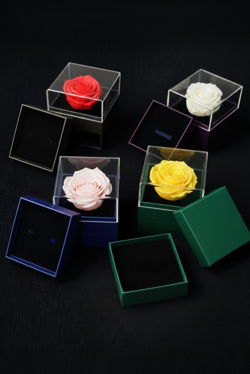 Pendant Necklaces Gift box